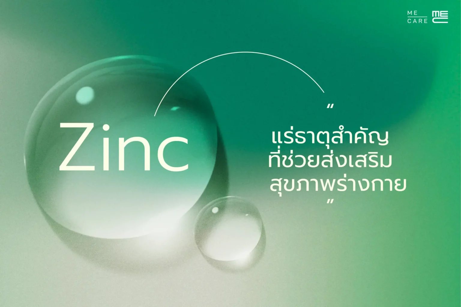 Zinc-แร่ธาตุสำคัญ-Web-H-scaled