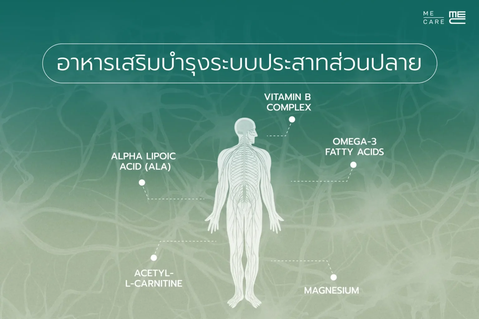 อาหารเสริมบำรุงระบบประสาทส่วนปลาย-Web-H-scaled