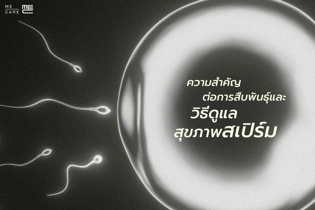 ความสำคัญต่อการสืบพันธุ์และวิธีดูแลสุขภาพสเปิร์ม Web H