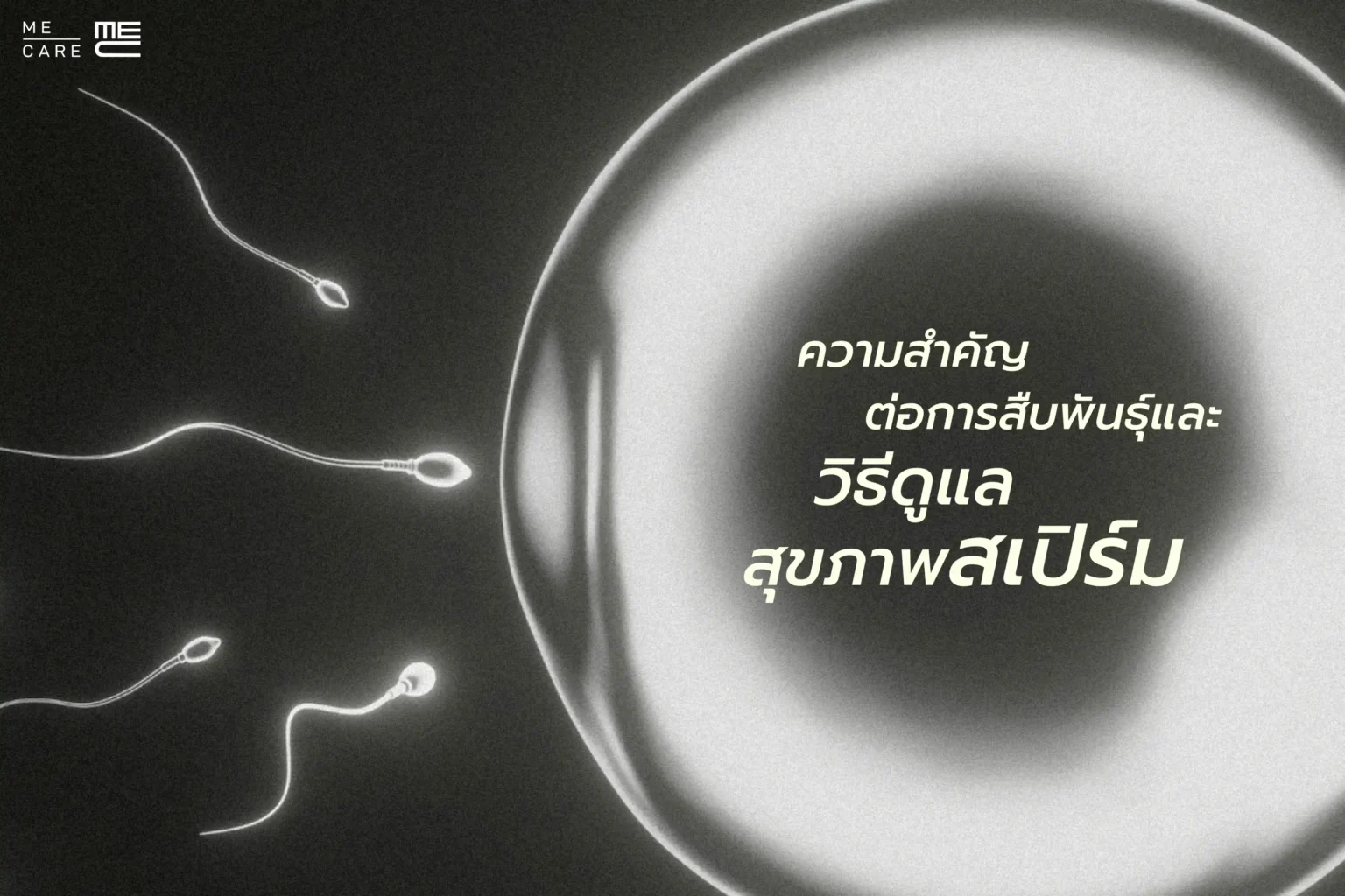 ความสำคัญต่อการสืบพันธุ์และวิธีดูแลสุขภาพสเปิร์ม (Web H)