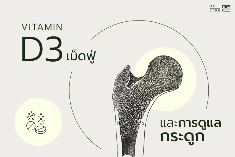 วิตามิน D3 และการดูแลกระดูก (Web H)