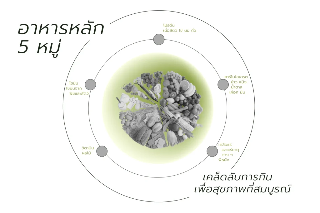 อาหารหลัก 5 หมู่ เคล็ดลับการกินเพื่อสุขภาพที่สมบูรณ์ Web H