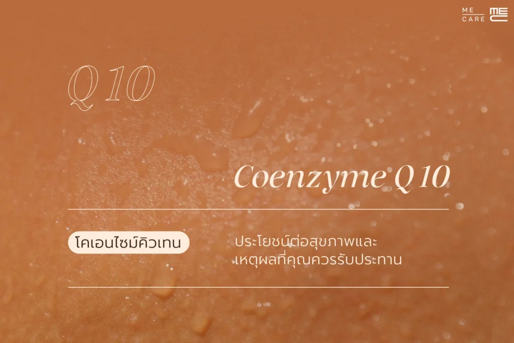 โคเอนไซม์คิวเทน Coenzyme Q10 ประโยชน์ต่อสุขภาพและเหตุผลที่คุณควรรับประทาน Web H